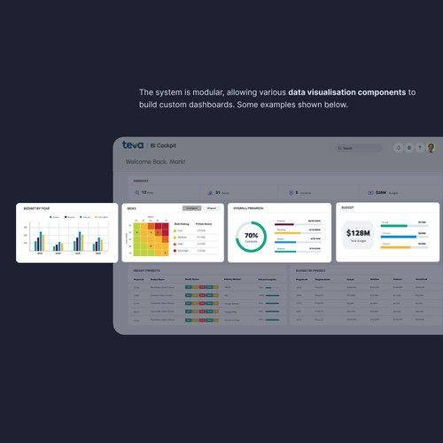 Teva's Bespoke Business Intelligence Dashboard: Components in Design System