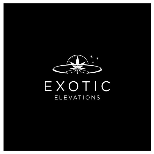 Logo concept for Exotic Elevations
