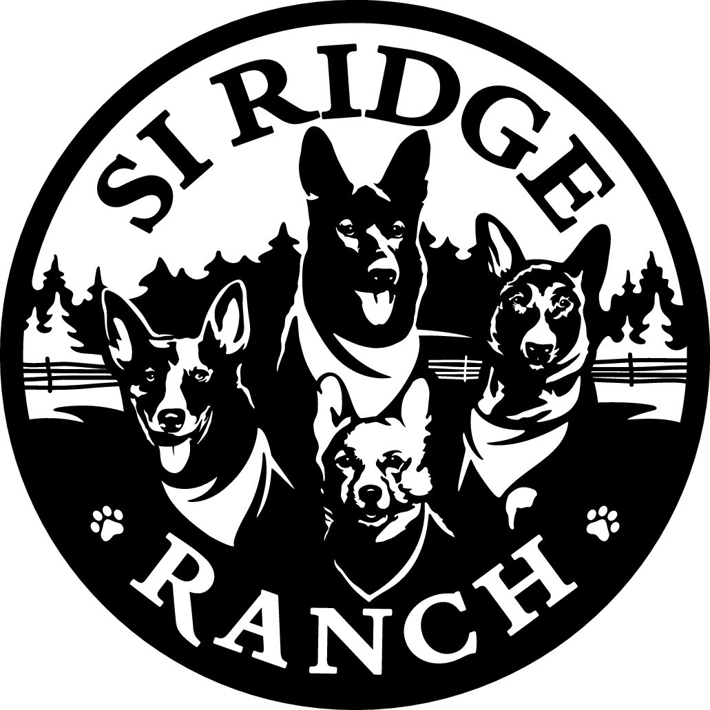 Dog lovers logo for a private Ranch!