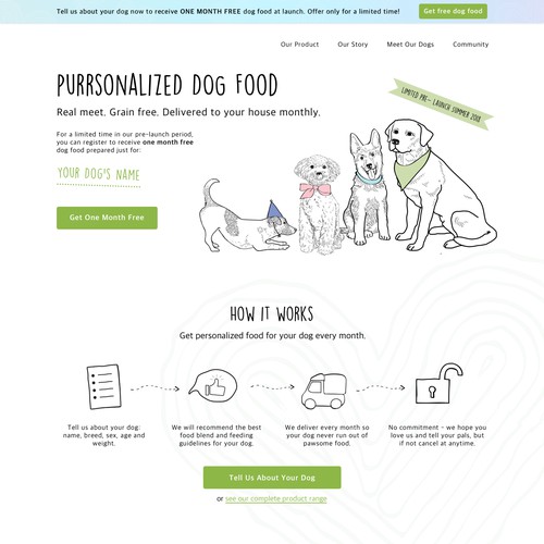 Website for a Dog Food Business