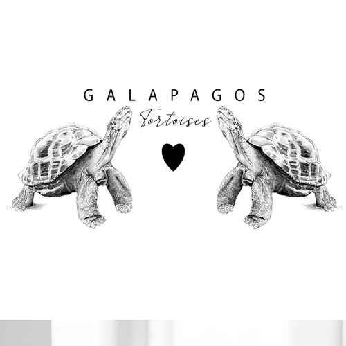  Galapagos Tortoises