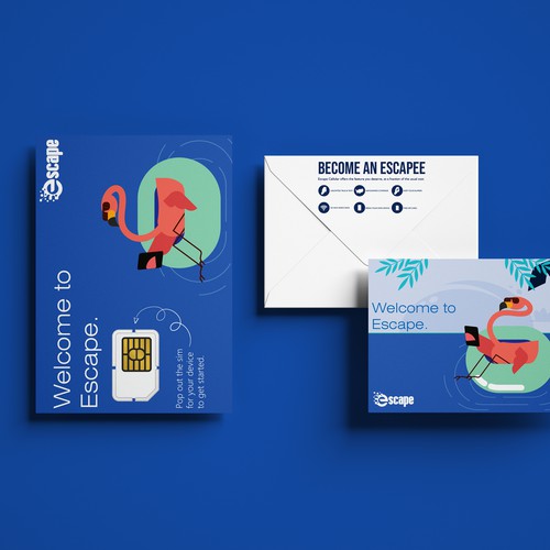 Packaging design for a Sim Card Company.