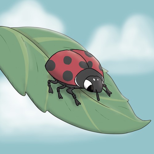 Ladybug