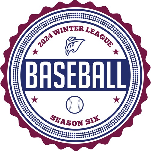 Baseball Team Pin
