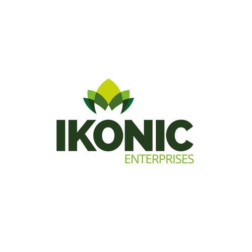 Logo concept for Ikonic