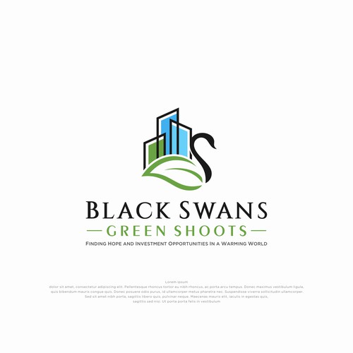 Black Swan Mortgage