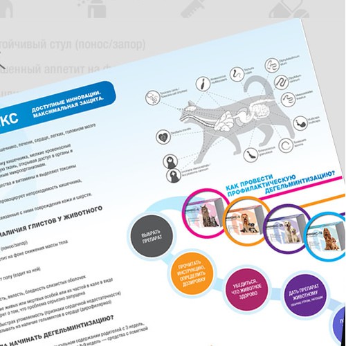 Pet Infographic Design