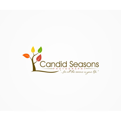 Help Candid Seasons Photography with a new logo