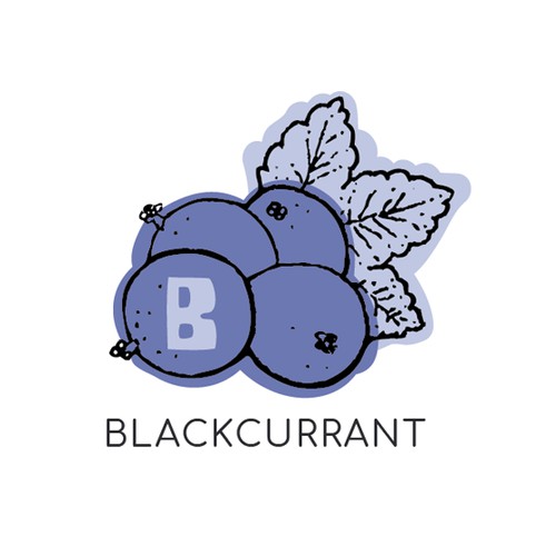Beary's Premium Fermented Fruit Juice