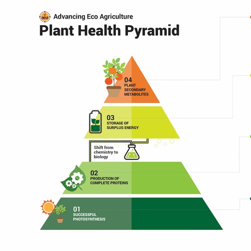 Infographic for Advancing Eco Agriculture