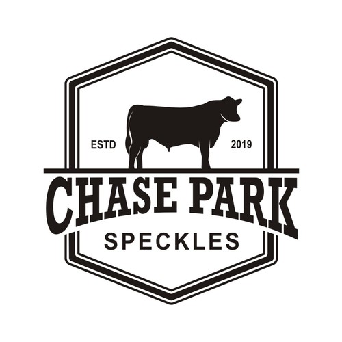 Logo concept for Chase Park Speckles