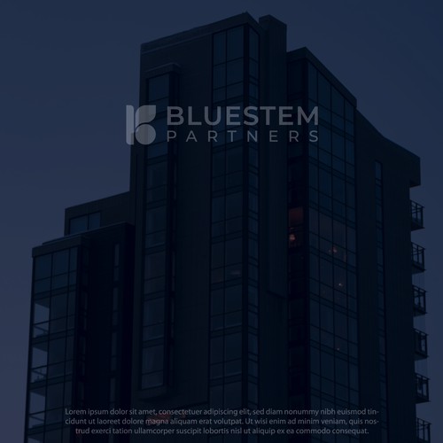 BlueStem Partners or BlueStem Equity or BlueStem Ventures logo