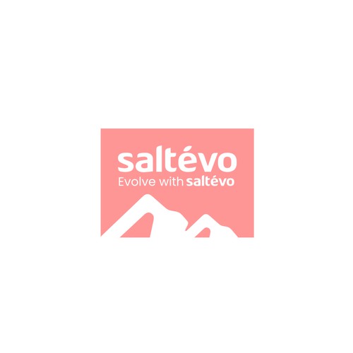 saltevo logo concept