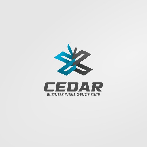 Logo for CEDAR