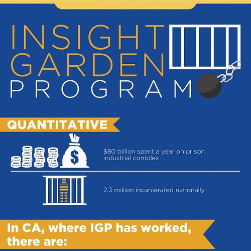Infographic Insight Garden Program