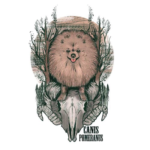 pomeranian dog illustration tshirt
