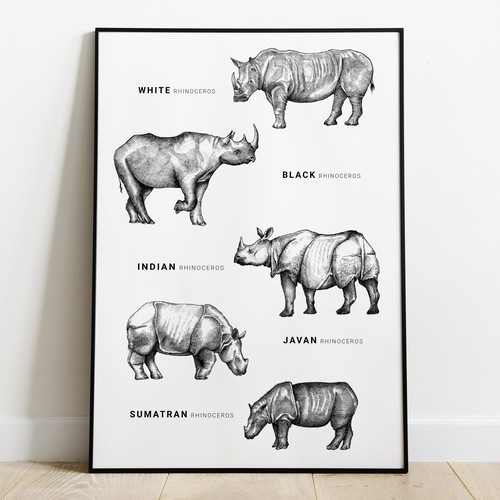 Rhino poster