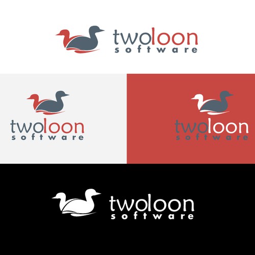 Create a winning design for Two Loon Software