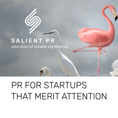 Logo for a PR company SALIENT