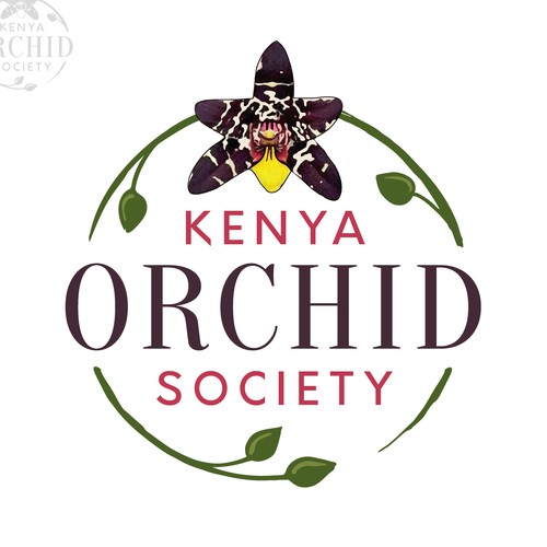 Orchid Logo Design