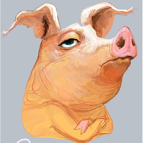 pig