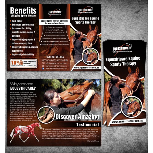 Equestricare Equine Sports Therapy needs a new brochure design