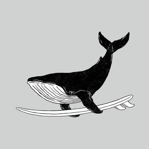Surfing Whale