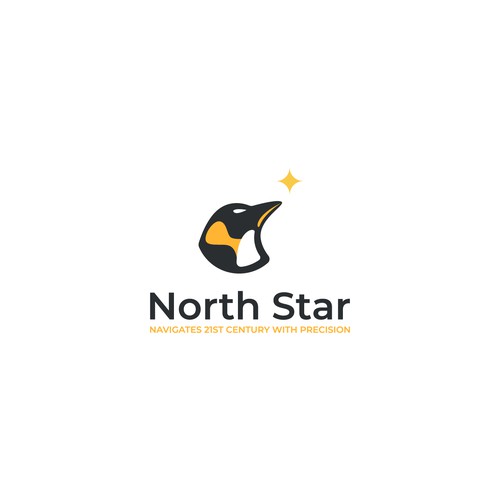 North Star Logo