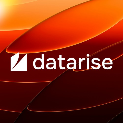 Datarise