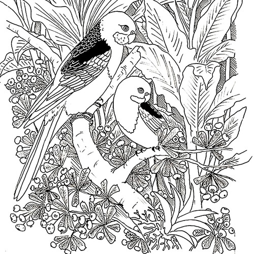 Line art, illustration