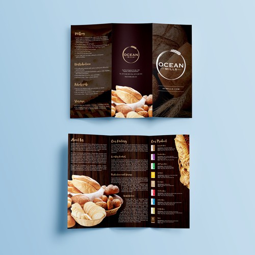 brochure design