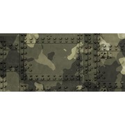 Reviewed design