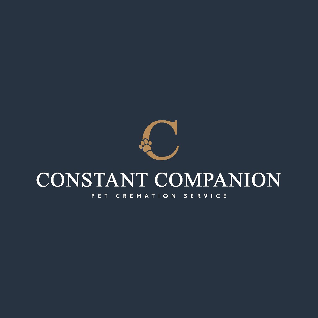 2 logos for existing business (potential future work)