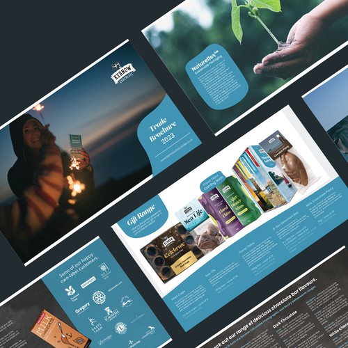 Online brochure design