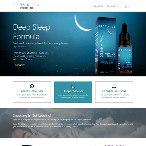 Web Design Concept 2