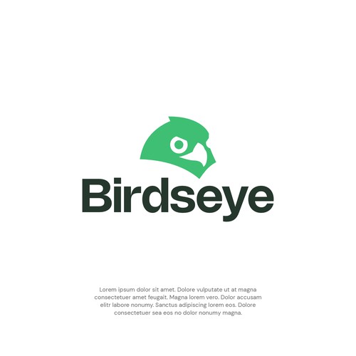 Modern Bold Eagle Eye Logo Concept