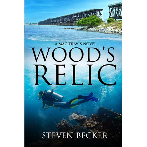 Create an ebook cover for a series of action and adventure novels