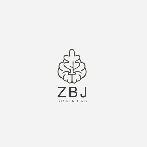 ZBJ Brain Lab