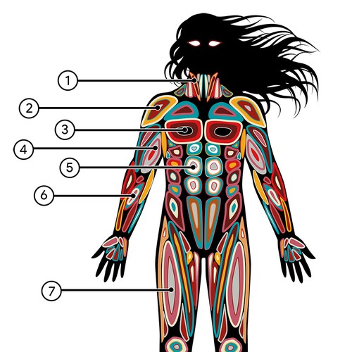Ethnic anatomy illustrations