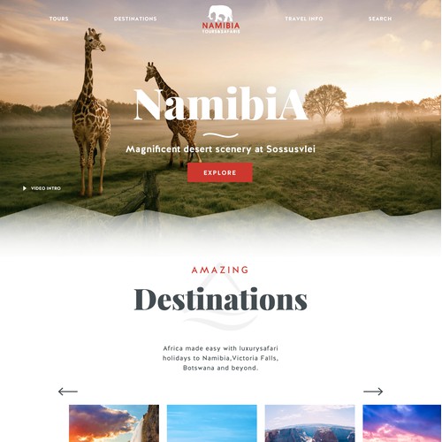 Travel Website