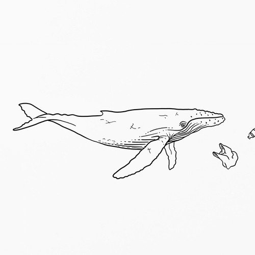 Illustrations for The Buoyancy Project 