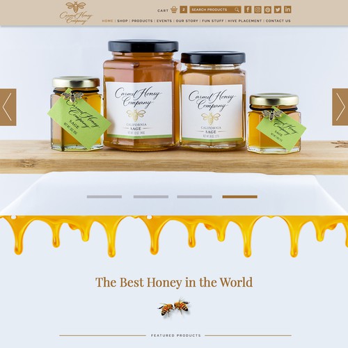 Heny company website design