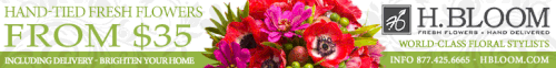H.BLOOM Display Campaign