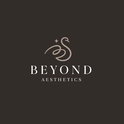 Beyond Aesthetics