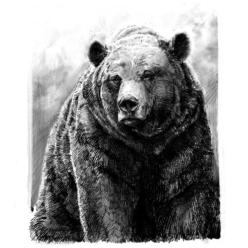 Great Alaskan Grizzly Bear 