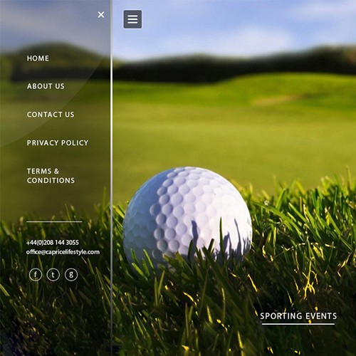 luxury lifestyle company website concept