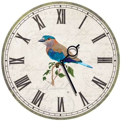 bird illustration for wall clock design