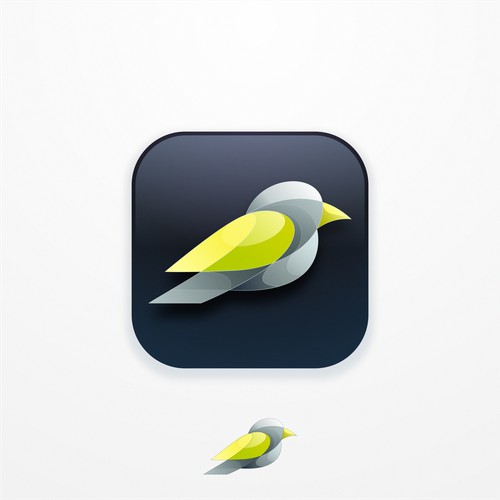 BirdLink – Modern Gradient App Icon