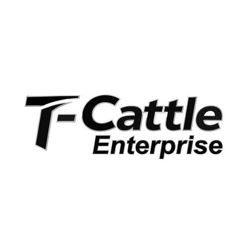 T- cattle enterprise