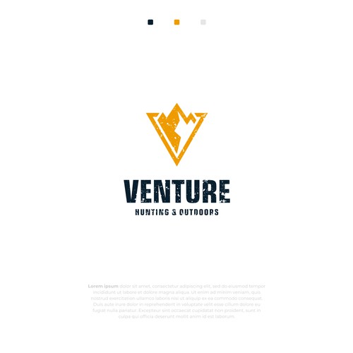 VENTURE